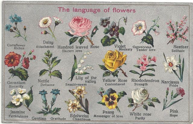 the language of flowers